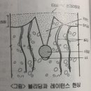 [2주차] 허니 콤브(honey comb), 블리딩(Bleeding), 레이턴스(Laitance) 이미지