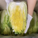 복골농장1 이미지