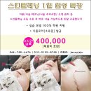 토탈 모델 테크닉 이미지