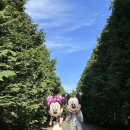 찬수목장 | 제주도 셀프웨딩스냅촬영 대성공✨, 촬영장소추천(+포토스팟카페📸)