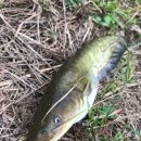 우지낚시터 이미지