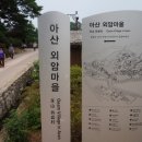 나무숲소 이미지