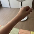 설빙광명하안점 | 일상 :: 여름은 정말 애증이야