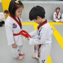 미르태권도 이미지