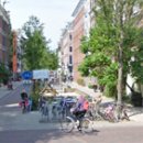 무궁화꽃이피었습니다 이미지