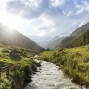 호숫가의아침 이미지