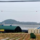 호림농장 이미지