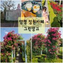 양평 카페/계절별로 바뀌는 꽃 정원 양평 그린망고 장미터널