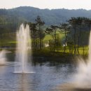 더플레이어스골프클럽 이미지