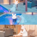 센토사 한림 | 제주도 숙소 센토사한림 후기