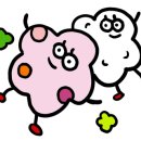장미이발
