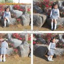 베베랑스 이미지