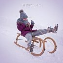 대성익스프레스