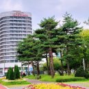 시민근린공원 건너편 이미지