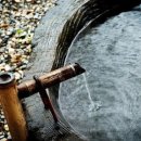 백암농장 이미지