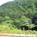 청산공인중개사