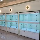 도그패밀리 이미지