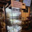 프레제 | 부산 해운대 마린시티 가성비 베이커리 프레제 솔직후기