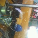 뽑기의신 이미지