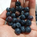 내검농장 이미지