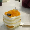 나를 발견하는 스피치 이미지