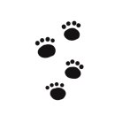 딱지애견샵 이미지