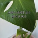 루킷 아이모든 베베코드 신생아 스크리닝 유전체 검사 후기
