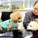 라온이네 이미지