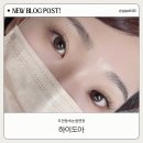 원도안로-23 이미지