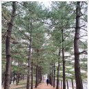 청소년푸른쉼터 화장실 이미지