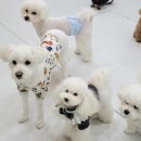 석촌유치원 이미지