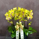 리본공인중개사사무소 이미지