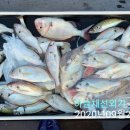 풍화리민박 이미지