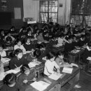 서울봉래초등학교 이미지