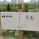 항산농장 이미지