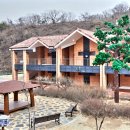 동해무릉건강숲 이미지