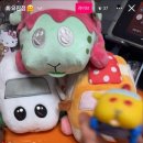 제주양판점