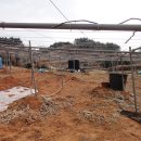 참다래집 이미지