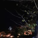 선산김치곱창김천점 이미지