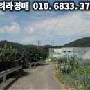 다인케미칼