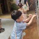 고강선사유적체험관 이미지