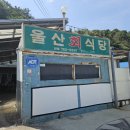 울진물회 | 울진 맛집 소개 &#34;울산 회 식당&#34; 물회 먹방 후기!!