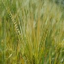 SM메디텍 이미지