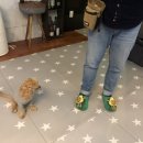 더콩컴퍼니 네이버블로그