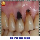 닥터손치과보철과의원 이미지