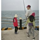 센티마르 이미지