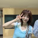 주니엘리스