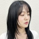 아브헤어 이미지