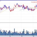 대호양행 이미지