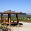 해바라기가 있는 풍 이미지